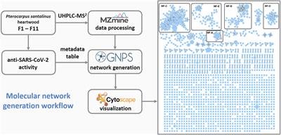 Discovery of anti-SARS-CoV-2 secondary metabolites from the heartwood of Pterocarpus santalinus using multi-informative molecular networking
